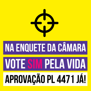 Vote SIM pela vida